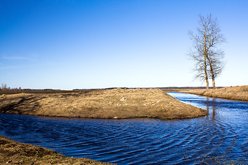 Image showing tree and river.  
