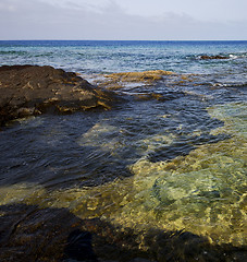 Image showing in lanzarote spain  pond  coastline and summer 