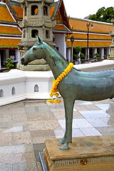 Image showing horse  in the temple bangkok asia  