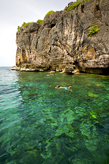 Image showing asia in the  kho phangan isles bay     south china green sea  