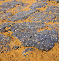 Image showing  old fossil in  the desert of morocco sahara and rock  stone sky