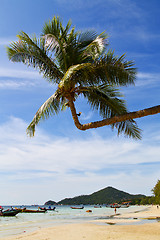 Image showing sun ligt asia   the  kho tao   south china sea anchor