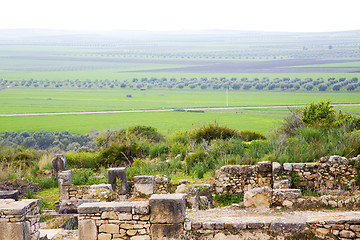 Image showing volubilis in morocco  