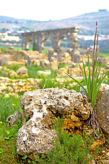 Image showing volubilis in   the old roman deteriorated monument   site