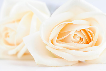 Image showing Delicate beige roses