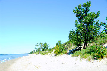 Image showing Sand dunes coastline