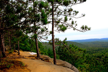 Image showing Pines cliffs trail