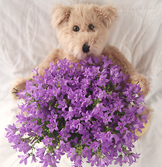 Image showing purple flowers with teddy bear