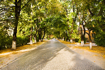 Image showing  road autumn