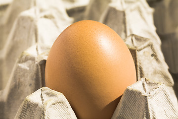 Image showing chicken egg  