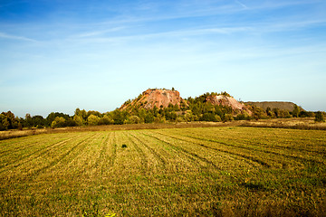 Image showing   trees   in  autumn  