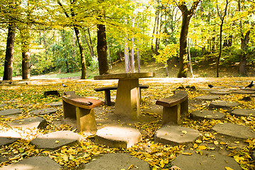 Image showing trees  in a park 