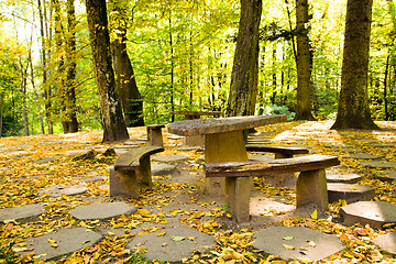 Image showing trees  in a park 