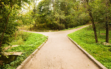 Image showing  road autumn