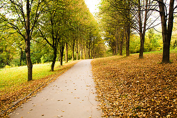 Image showing  road autumn