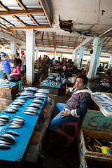 Image showing Traditional Marketplace with fresh fish in Tomohon City