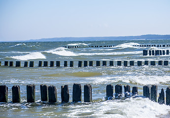 Image showing Baltic Sea with groins and turf