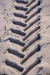 Image showing Tracks in sand