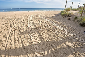 Image showing beach of Baltic Sea with car tracks