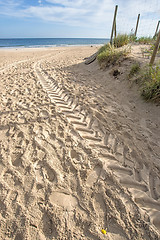 Image showing beach of Baltic Sea with car tracks