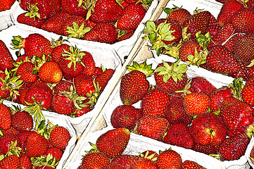 Image showing strawberries