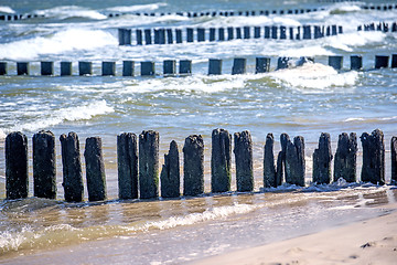 Image showing Baltic Sea with groins and turf