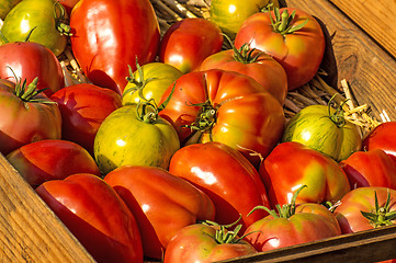 Image showing tomatoes, old cultivars