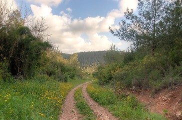 Image showing Spring season landscape