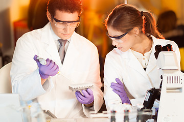 Image showing Life scientist researching in the laboratory.