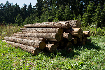 Image showing Pile of wood near forest road