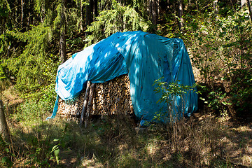 Image showing Pile of wood near forest road