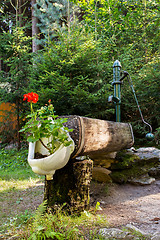 Image showing rustic rural water pump with flowers in bidet