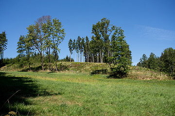 Image showing rural scene with forest