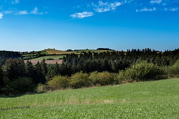 Image showing summer rural summer landscape