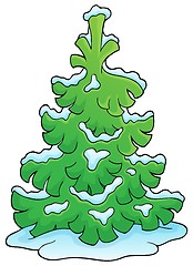 Image showing Coniferous tree theme image 1