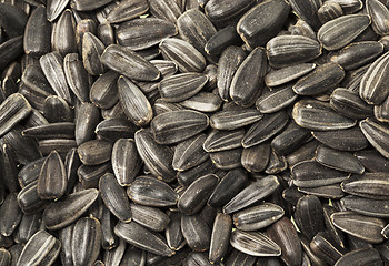 Image showing sunflower seeds 