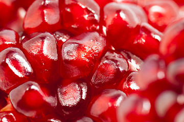 Image showing pomegranate  