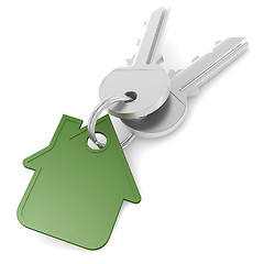 Image showing Green house key