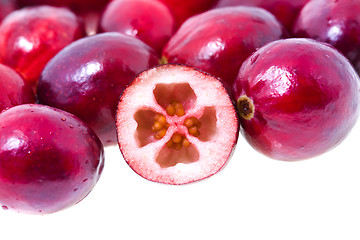 Image showing   cranberries 