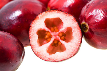 Image showing   cranberries 