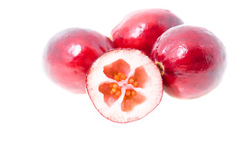 Image showing   cranberries 