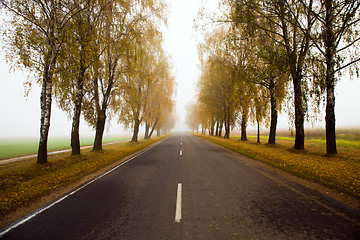 Image showing  road autumn