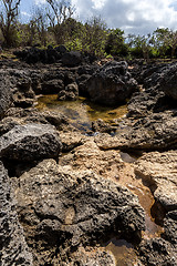 Image showing coastline at Nusa Penida island