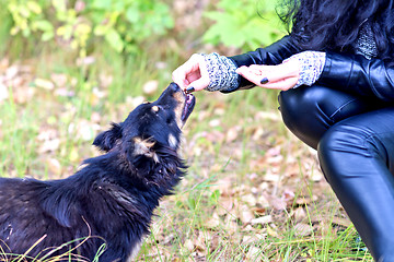 Image showing feeding