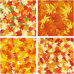 Image showing Autumn  Seamless Pattern Set