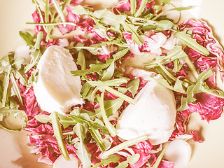 Image showing Retro looking Lettuce salad