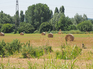 Image showing Hay bale