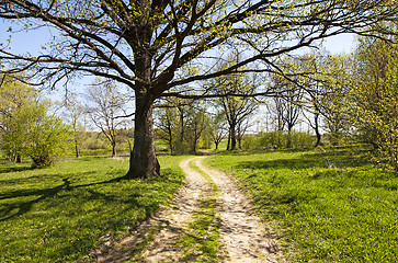 Image showing the rural road  