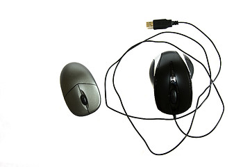 Image showing computer mouse 