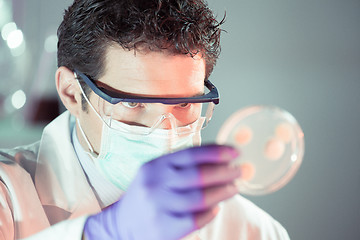 Image showing Life science researcher observing cells in petri dish.